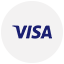 Visa Logo