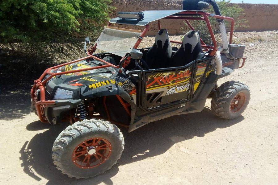 Marrakech Palm Grove Buggy Ride Adventure