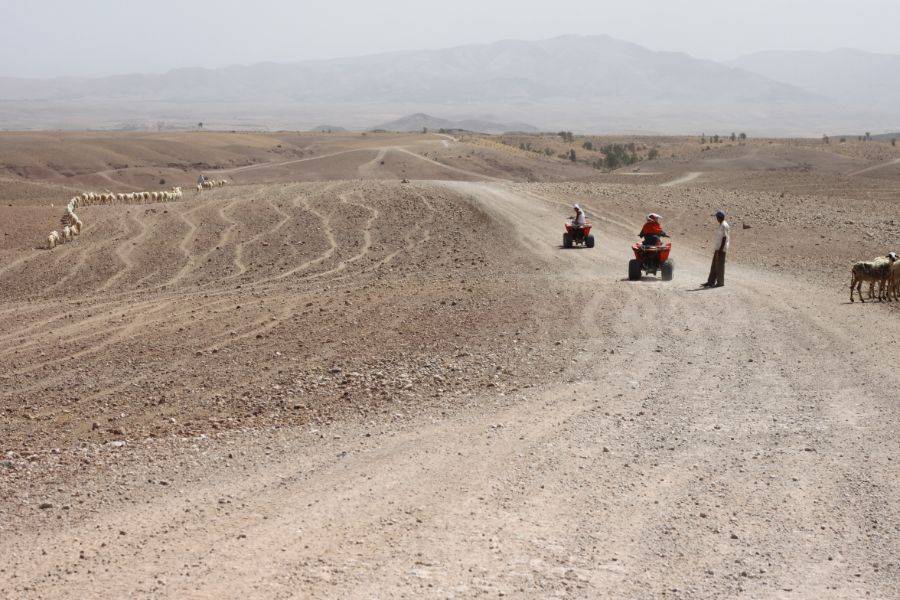 Camel Ride & Quad Bike Experience at Agafay Rocky Desert 
