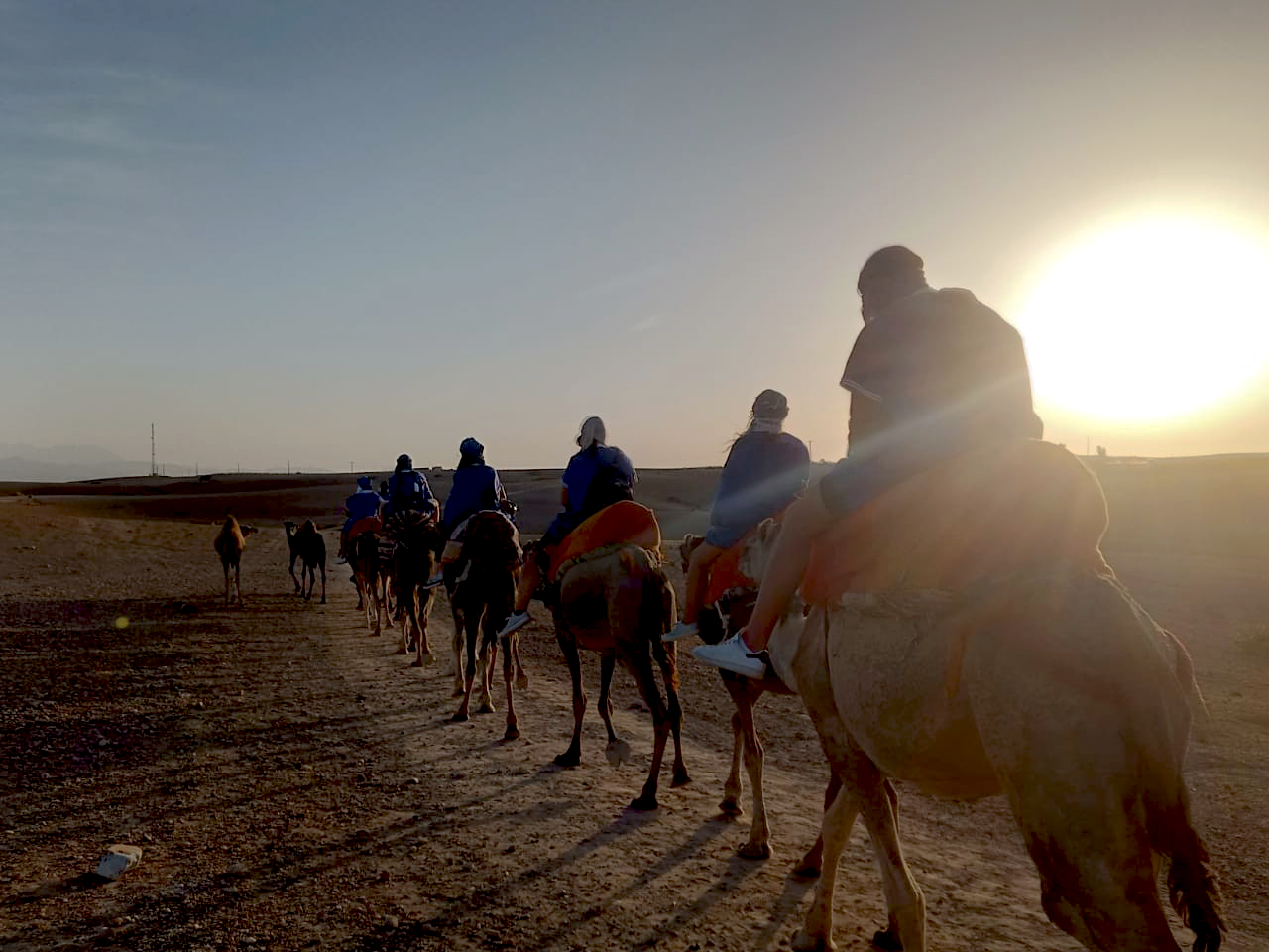 Camel Ride & Quad Bike Experience at Agafay Rocky Desert 