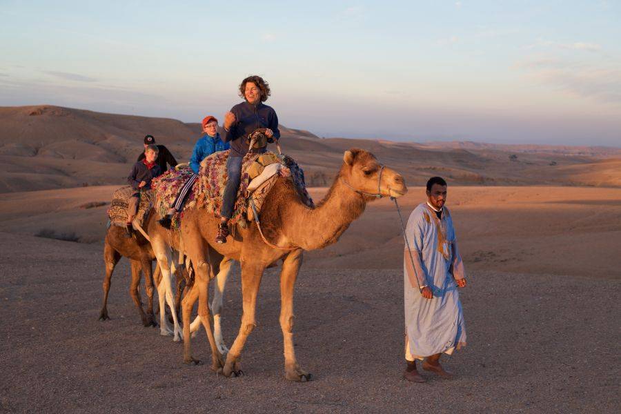 Sunset Camel Ride experience at the Agafay rocky Desert