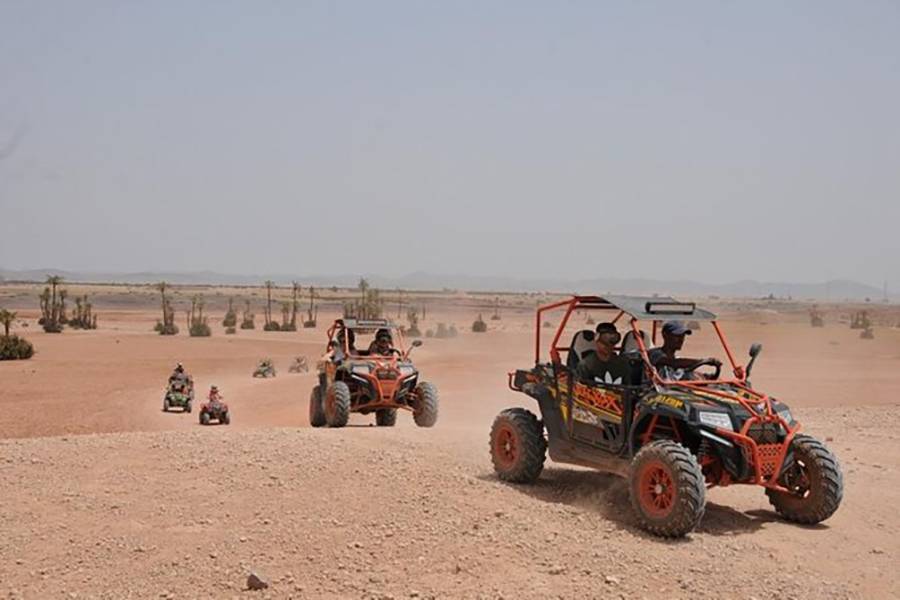 Marrakech Palm Grove Buggy Ride Adventure