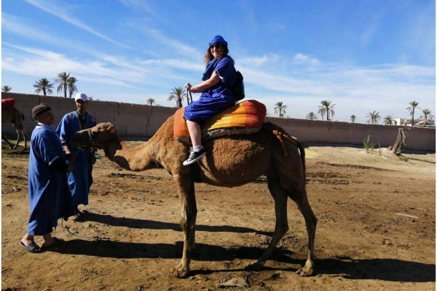 Majorelle Garden With Camel Ride in the Palms of Marrakech