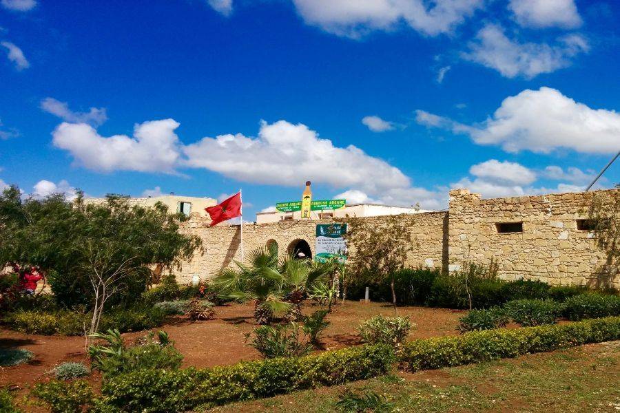 Trip 2 Days to The Gorgeous City Essaouira (Mogador)