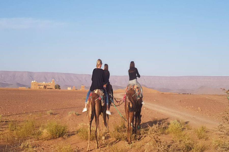 Camel Ride & Quad Bike Experience at Agafay Rocky Desert 