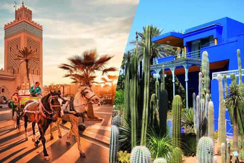 Horse Carriage and Visit of Majorelle Garden Tour