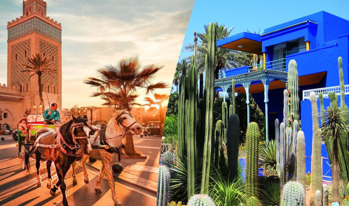 Horse Carriage and Visit of Majorelle Garden Tour
