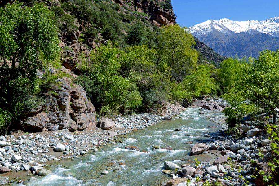 The four valleys one-day excursion from Marrakech