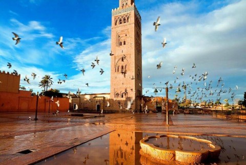 Historical Gardens and Ramparts of Marrakech Tour