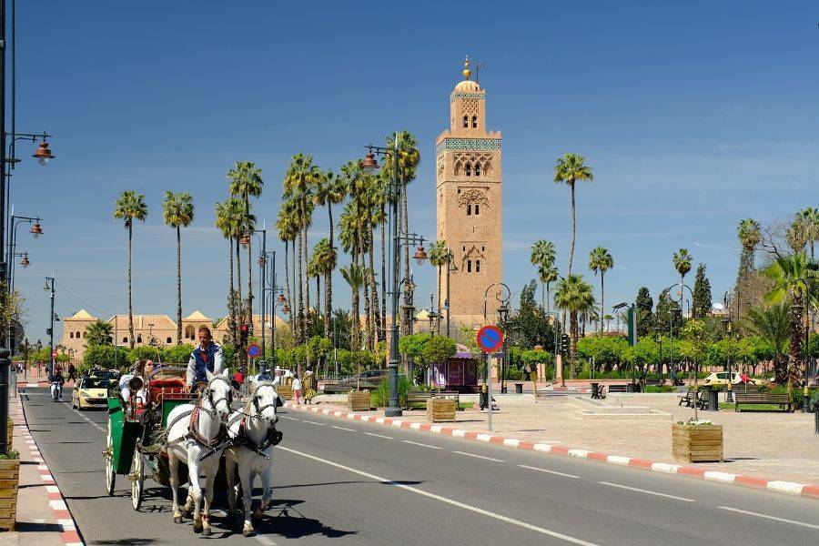 Historical Gardens and Ramparts of Marrakech Tour