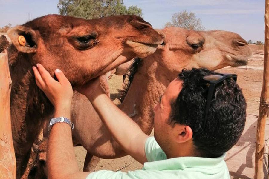 4 Days Desert Tour in Morocco