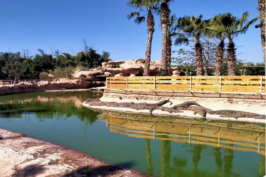 Agadir Day Trip from Marrakech — Beach City & Souk El Had