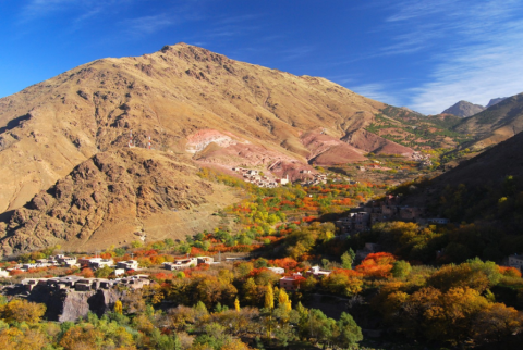 Day Trip Atlas Mountain with Sunset Camel Trekking in Agafay Sahara
