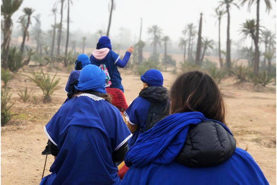 Camel ride in the palmeraie Marrakech