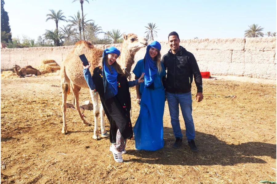 Camel ride in the palmeraie Marrakech