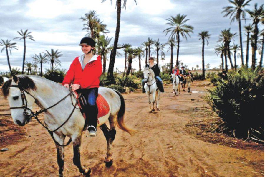 Horse Ride in Marrakech Palmeraie 