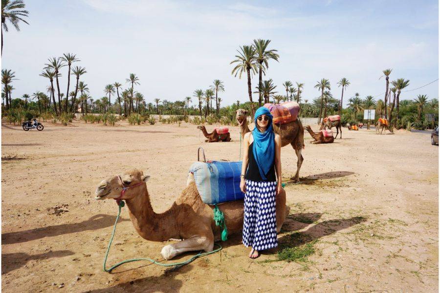 Majorelle Garden With Camel Ride in the Palms of Marrakech