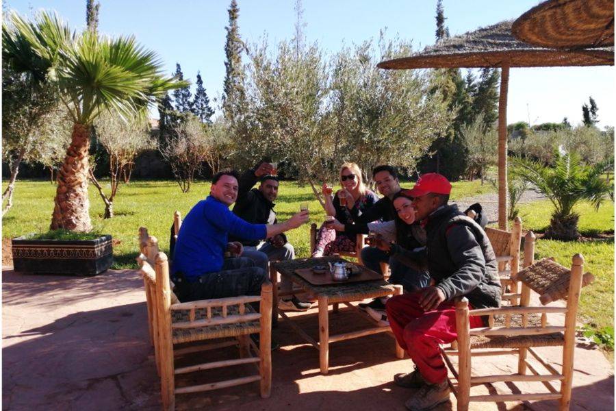 Majorelle Garden With Camel Ride in the Palms of Marrakech