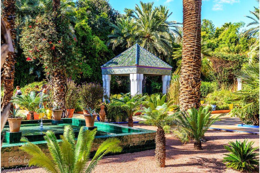 Majorelle Garden With Camel Ride in the Palms of Marrakech