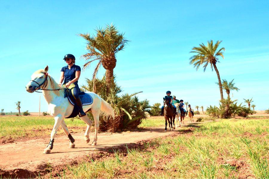 Horse Ride in Marrakech Palmeraie 