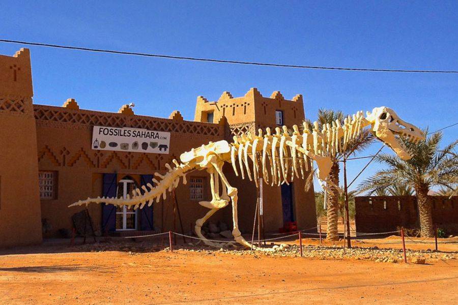 Merzouga Desert Trip 4 Days From Agadir