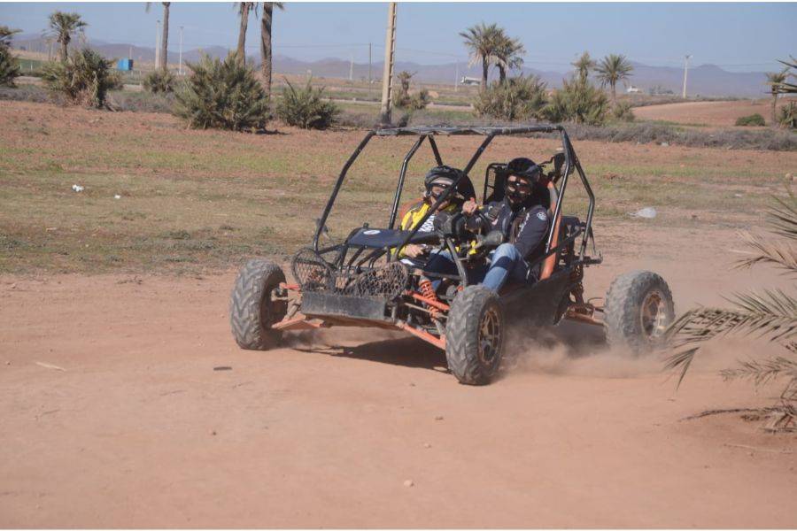 Marrakech Palm Grove Buggy Ride Adventure
