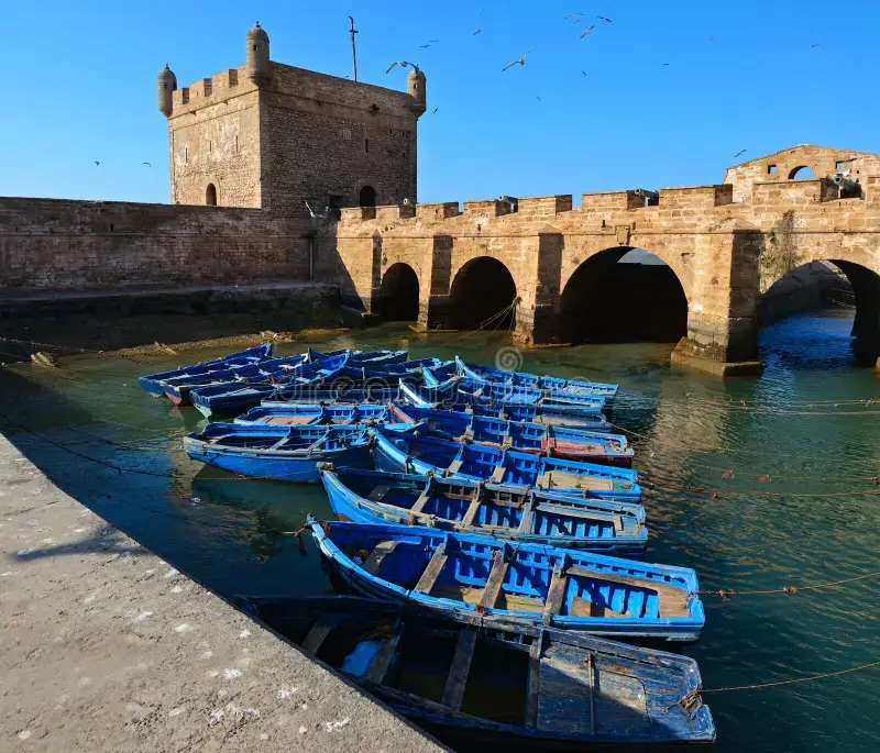 Essaouira Day Trip from Marrakech — UNESCO Coastal City & Blue Medina