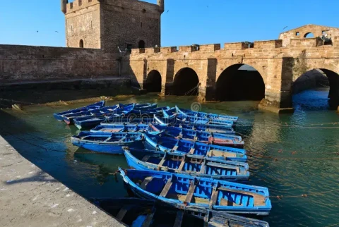Essaouira Day Trip from Marrakech — UNESCO Coastal City & Blue Medina