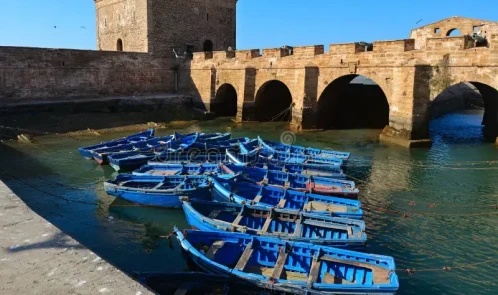 Essaouira Day Trip from Marrakech — UNESCO Coastal City & Blue Medina