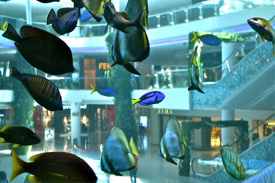 Casablanca Private City Tour 
