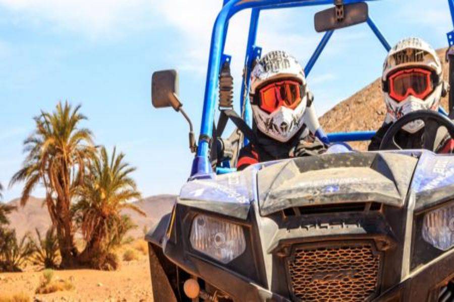 Marrakech Palm Grove Buggy Ride Adventure
