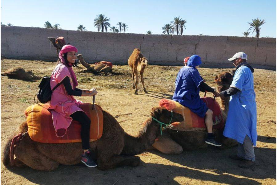 Camel Ride & Quad Biking In Marrakech Palmeraie