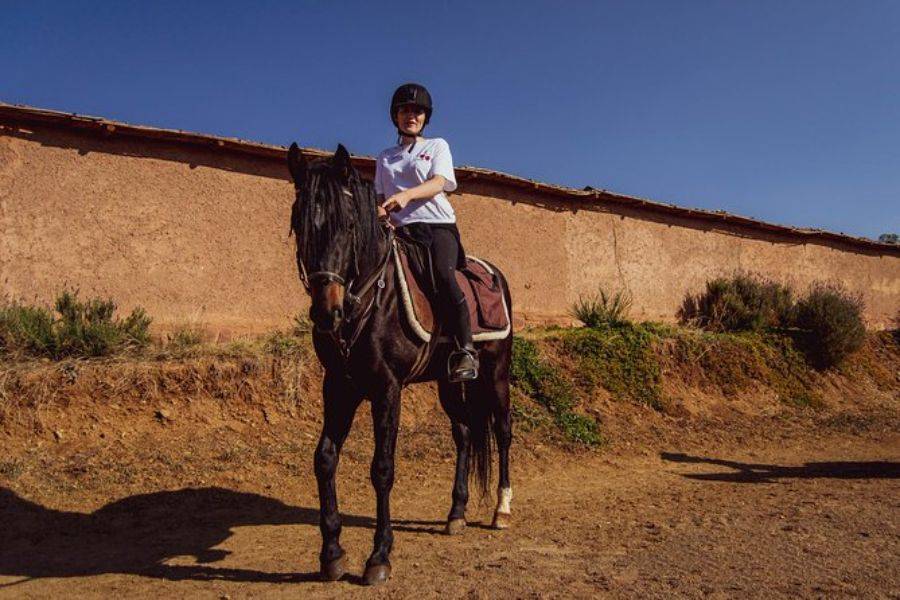 Horse Ride in Marrakech Palmeraie 