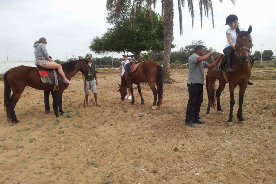 Horse Ride in Marrakech Palmeraie 