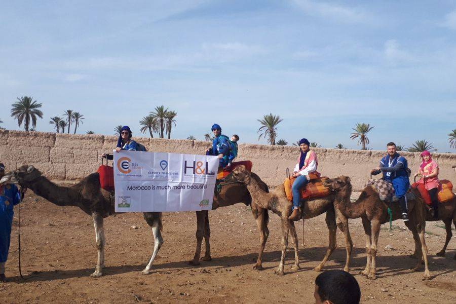 Camel ride in the palmeraie Marrakech