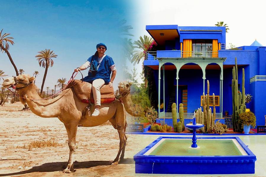 Majorelle Garden With Camel Ride in the Palms of Marrakech
