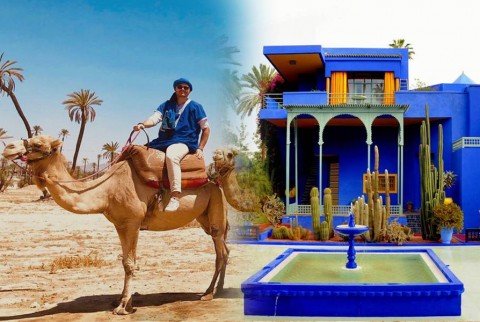 Majorelle Garden With Camel Ride in the Palms of Marrakech