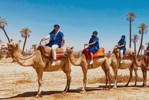 Camel ride in the palmeraie Marrakech