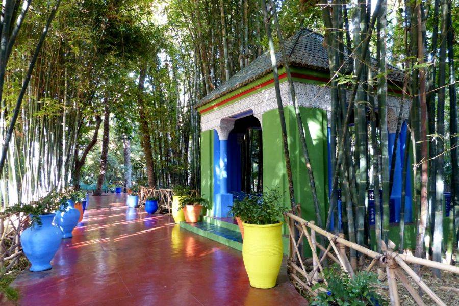 Majorelle Garden With Camel Ride in the Palms of Marrakech