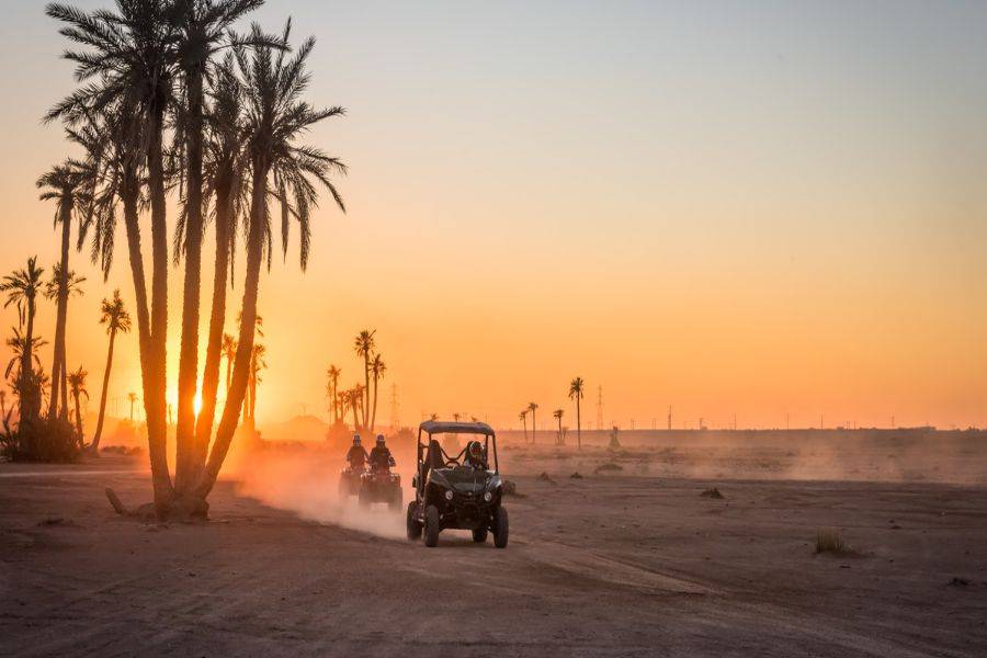 Marrakech Palm Grove Buggy Ride Adventure