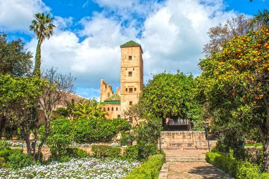 Private Day Trip to Rabat from Casablanca