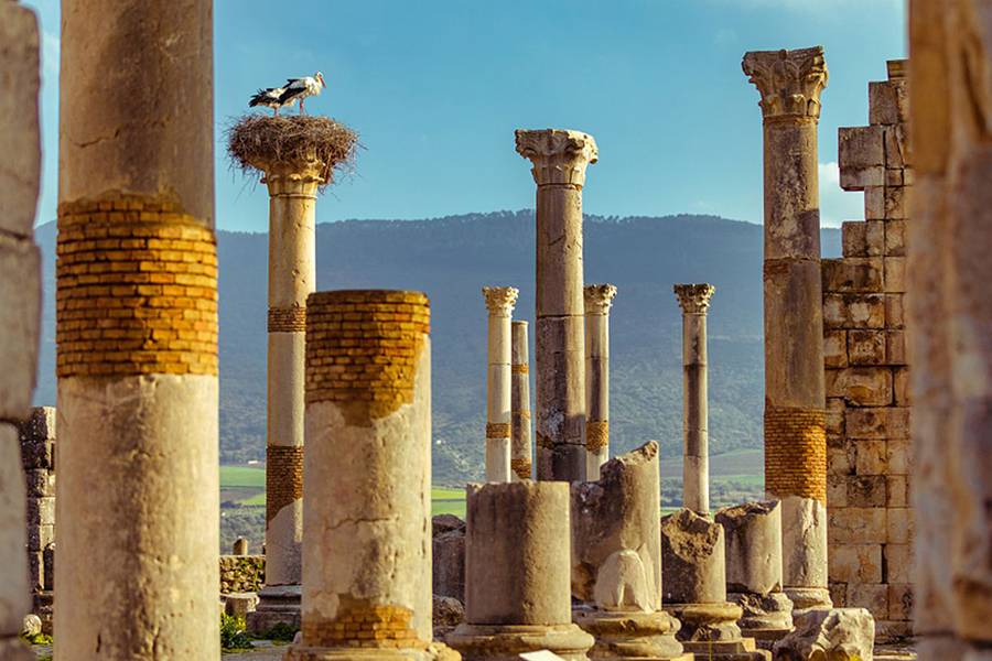 7 days trip to the imperial cities from Casablanca 