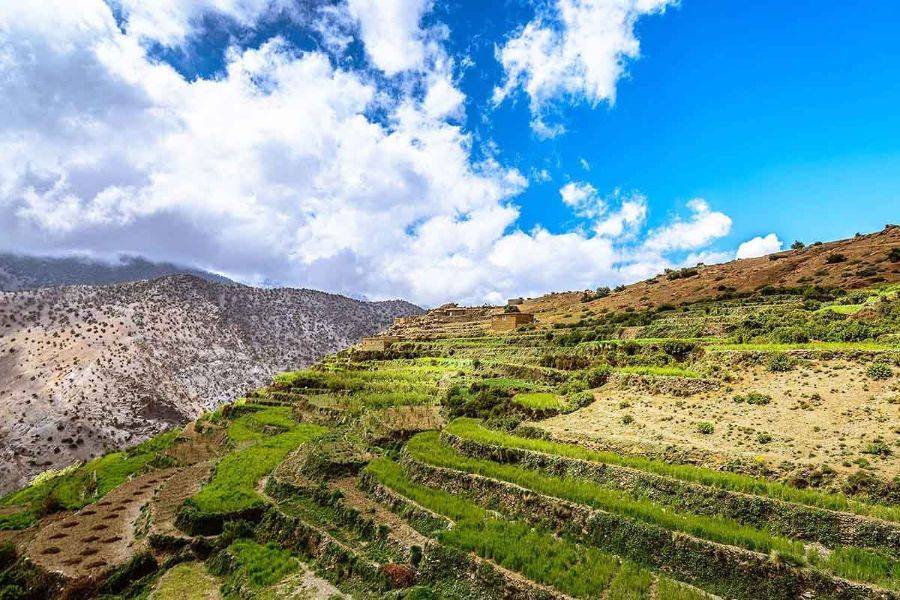 Excursion to Asni & Imlil With a Delicious Lunch at Kasbah Toubkal