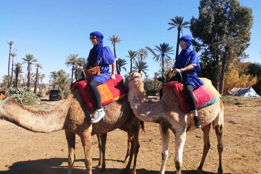 Camel ride, Quad bike & Spa treatment