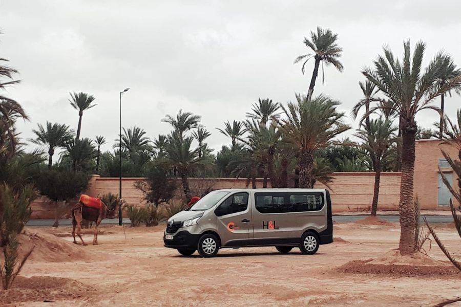 Camel ride, Quad bike & Spa treatment