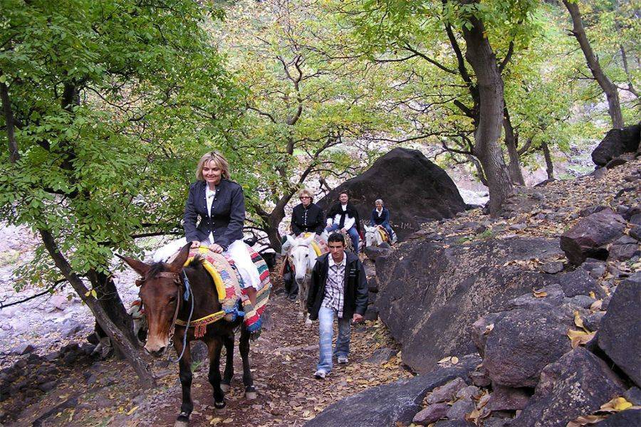 High Atlas Mountain Imlil with the Camel Riding & Diner in Agafay Desert