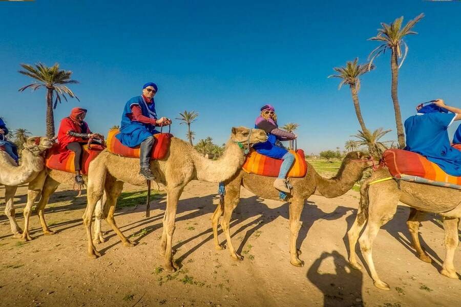 Camel ride, Quad bike & Spa treatment