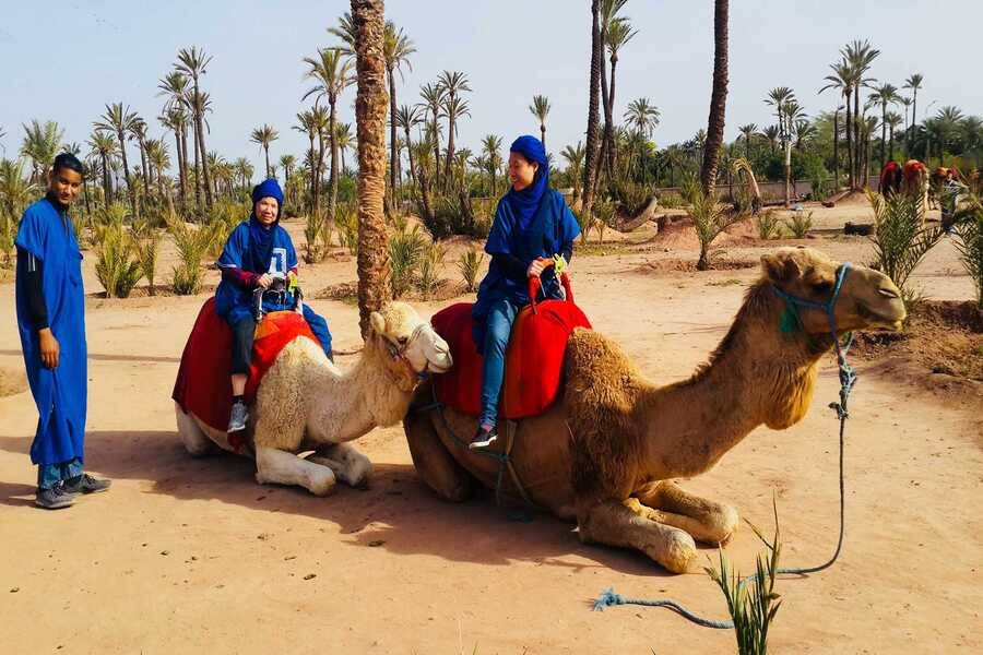 Camel ride, Quad bike & Spa treatment