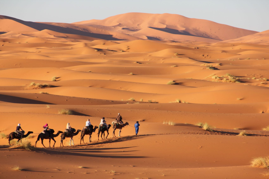 Grand Tour To Morocco From Marrakech To Tangier for 7 days