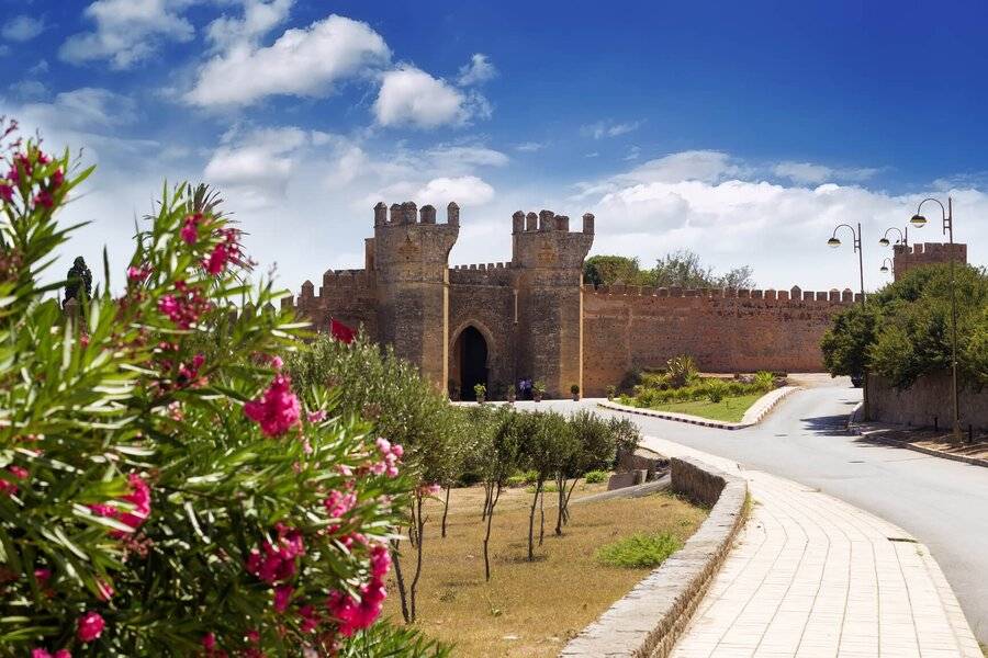 Trip 7 DAYS from Tanger and Imperial cities to Marrakech